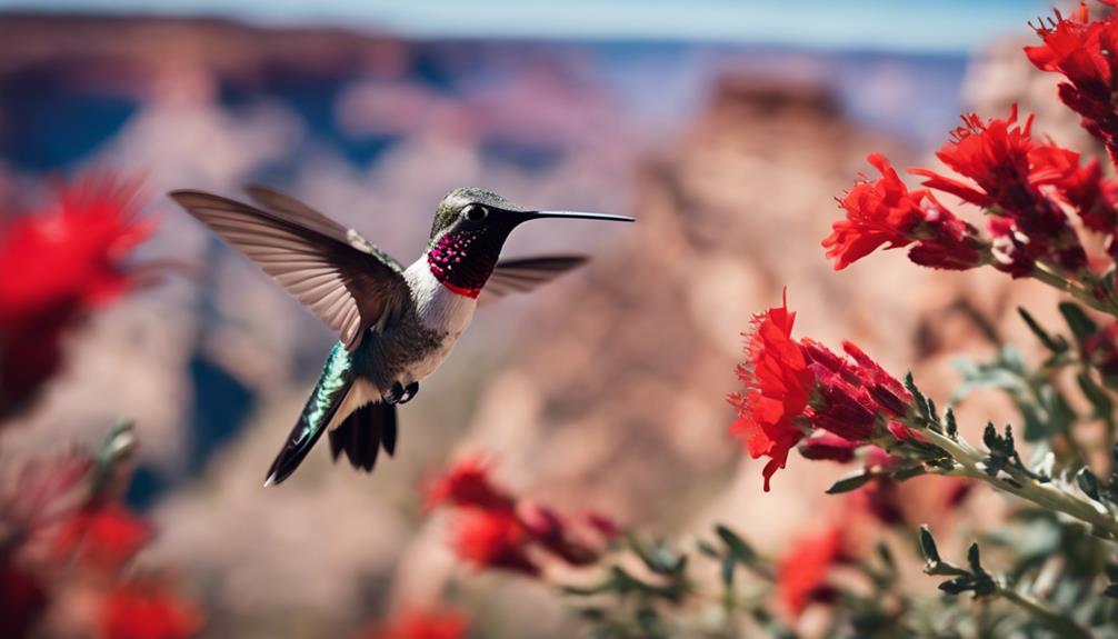 top-15-types-of-birds-in-grand-canyon-with-pictures-fly-aviary